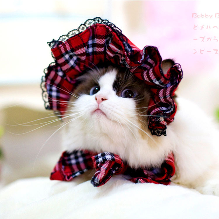Pet dog cat maid Cap Hat ornament photo funny sell...