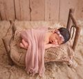 2017 Portable Newborn Baby Bed Photo Prop Wooden Baby Crib Photography Props Brand Baby Posing Nest