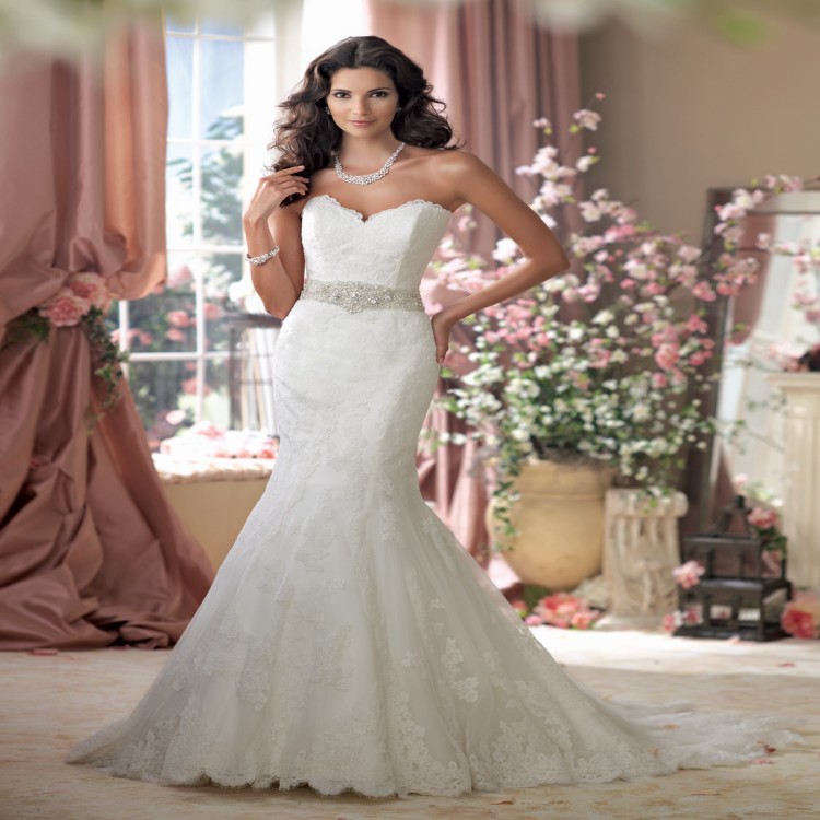 discontinuted davids bridal gowns