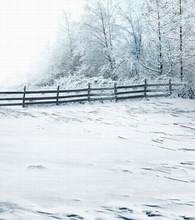 Photo Studio Floor The Snow Fencechristmas Backgroundszz Cm-0200