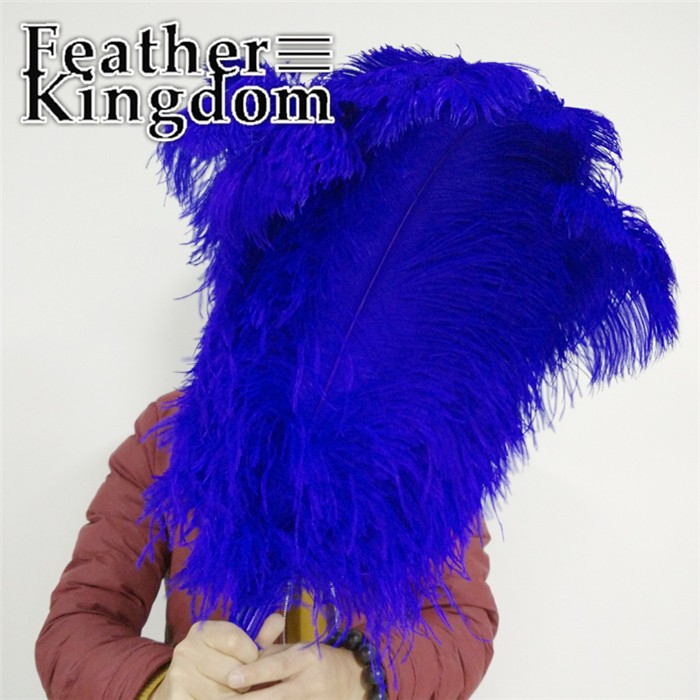 50-55cm royal blue ostrich feather 1