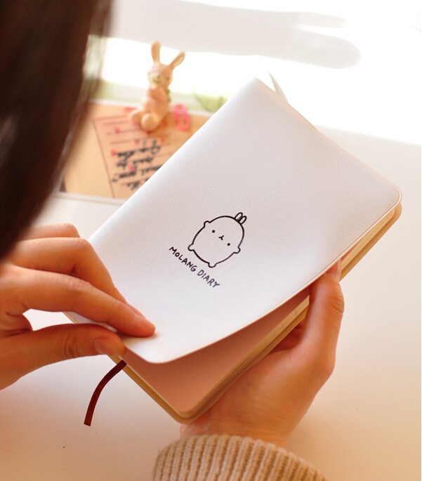 2015-2016 Cute Kawaii Notebook Cartoon Molang Rabbit Journal Diary Planner Notepad for Kids Gift Korean Stationery5