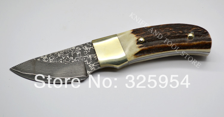 Hand made Damascus Steel Blade And Deer Horn Handle Fixed Knife Elk Ridge Small Damascus Knife