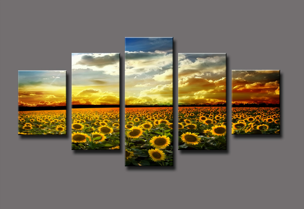 Grande girasole immagini acquista a poco prezzo grande girasole ...