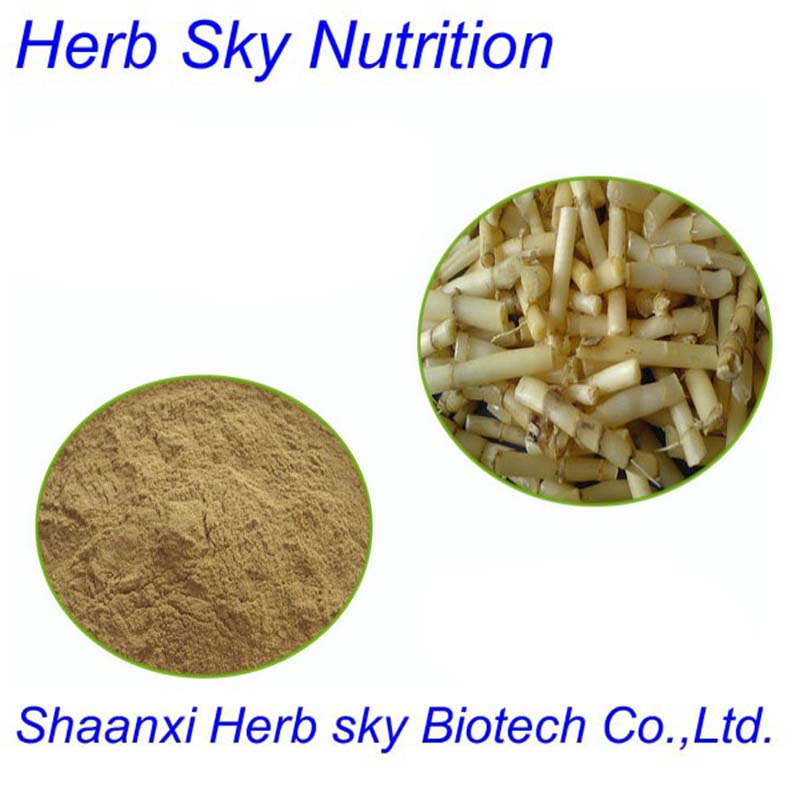 Hot sale Plant extract /Lalang grass rhizome extract/Golden seal root extract 400g/lot