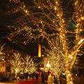 led string lights 5M 50led 5V USB powered outdoor copper wire christmas festival wedding party decoration