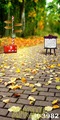 5x7ft Computer Printing Photo Background For Children Wedding Vintage Street Autumn Scenic Photographic Studio Floor Backdrops