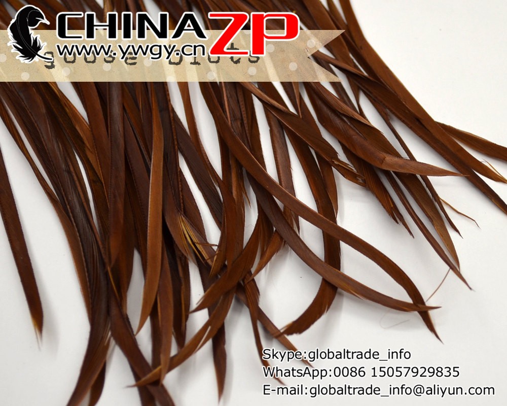 20 pcs - Goose Biots Feathers, Mid Brown, Loose, can be curled, ironed, no. 027