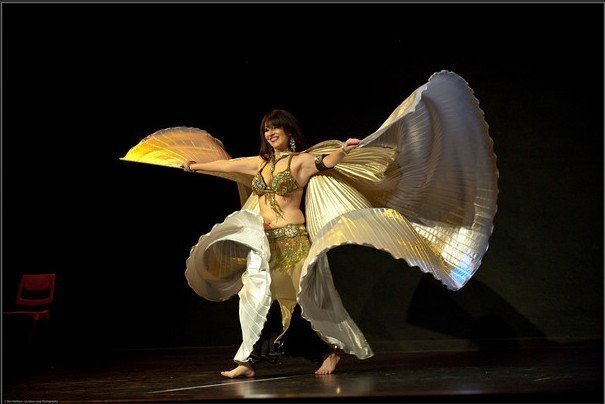 free shipping wholesale belly dance accessory belly dance wings belly dance Isis wings BELLY DANCE PROFESSIONAL