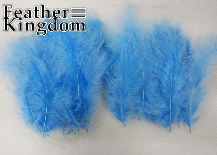 light blue Turkey feather