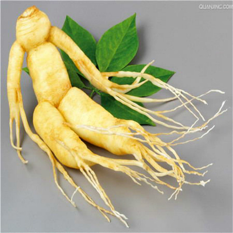 Original Pack 10pcs Chinese Hardy Panax Ginseng Korea Ginseng Seeds