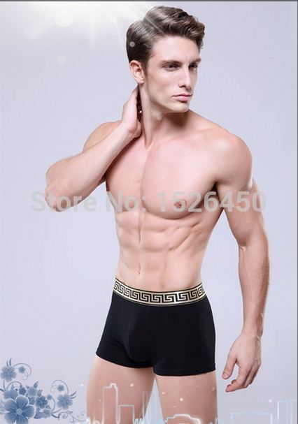 Super Sexy Male Cotton High Quality Men Boy Briefs Underwear Thong 