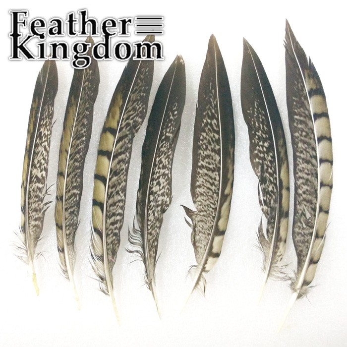 natural lady amherst pheasant feathers 1-700