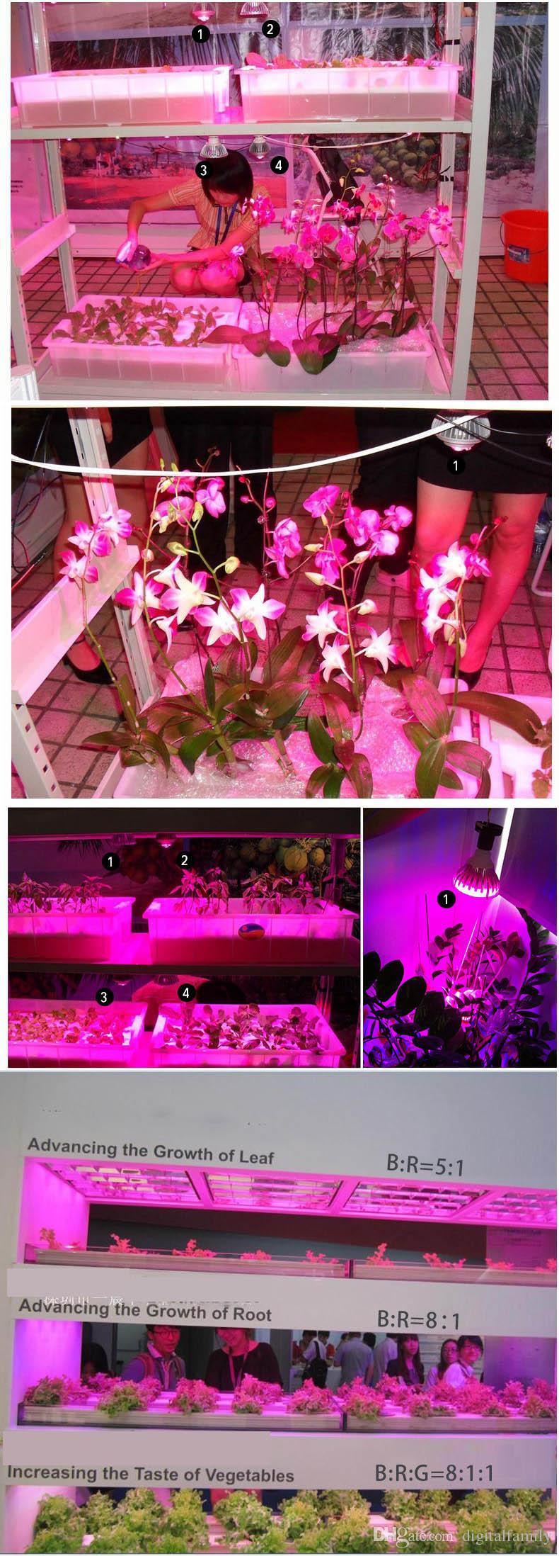  10X Full Spectrum LED Grow Lights 21W 27W 36W 45W 54W E27 LED Grow Lamp PAR 38 30 Bulb For Flower Plant Hydroponics System Grow Box Via DHL