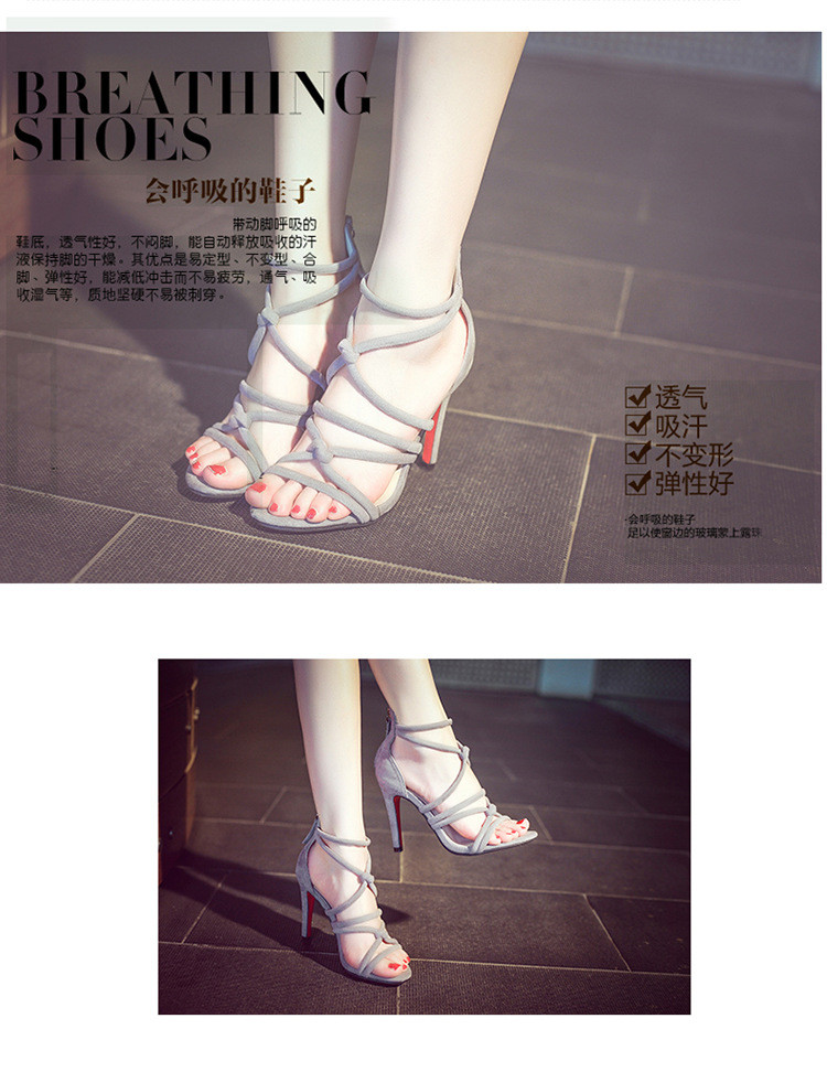 2229479205_1789272305