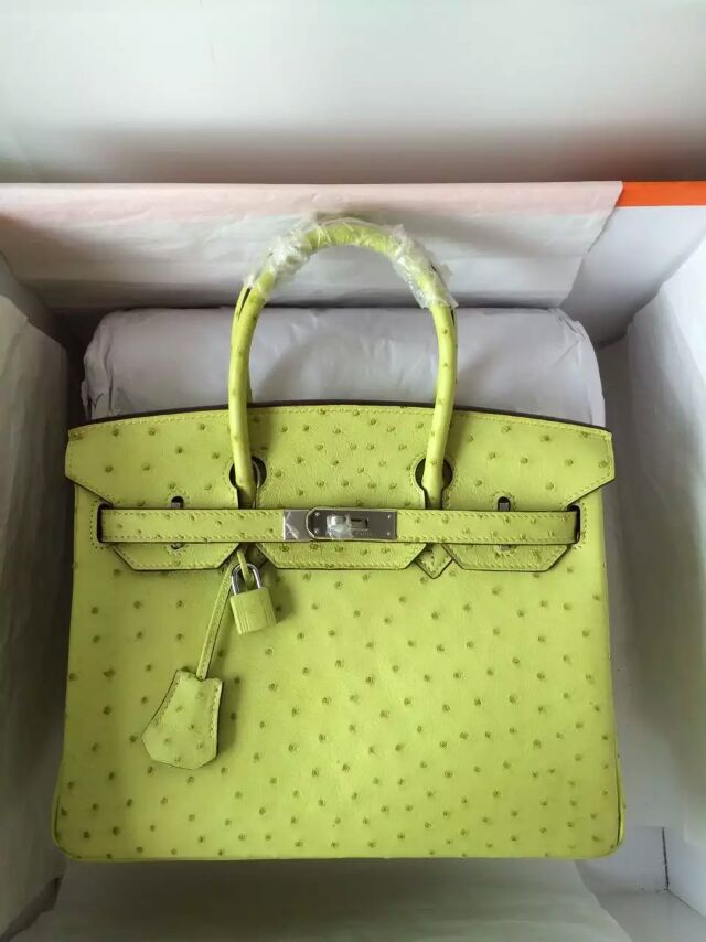 ostrich handbags prices