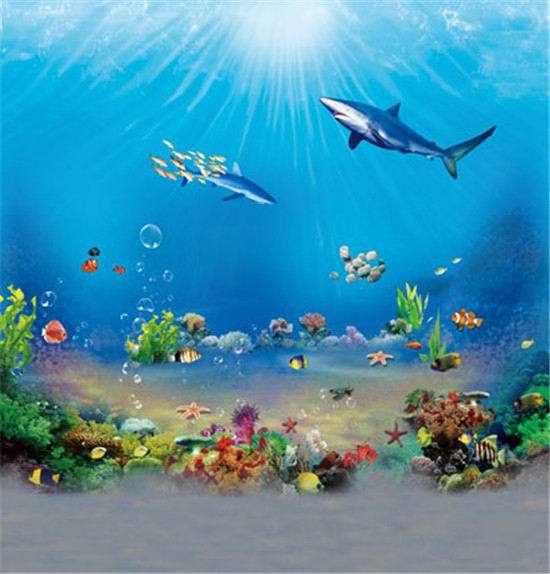 reef shark yorumlar al莖蝓veri蝓 reef shark yorumlar reef shark yorumlar al莖蝓veri蝓 reef shark yorumlar