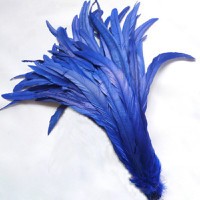 blue rooster feathers