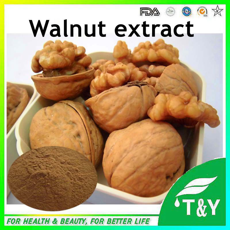Black walnut Extract, Black walnut Extract Powder