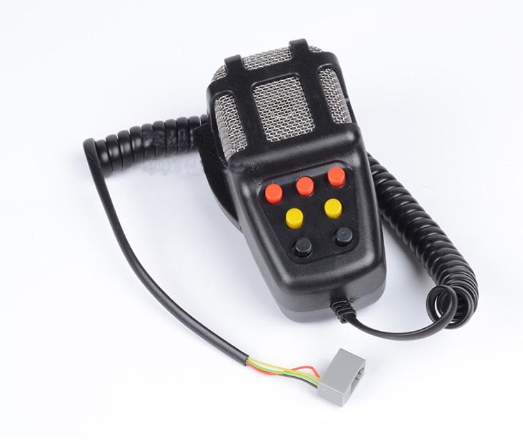CAR ALARM RISEN (1)