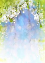 200cm*300cm Vinyl Custom Photography Backdrops Props photo Studio Background TCHS-1102