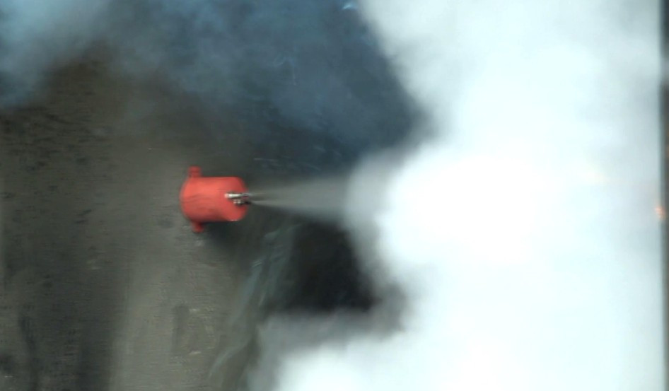 T2l3tgX_pXXXXXXXXX-774431417