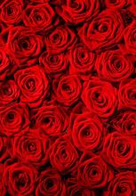 200cm*300cm Vinyl Custom Photography Backdrops Props photo Studio Background TCHS-1107