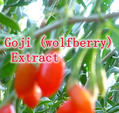Hot sale Hight Quality 400gram Goji (wolfberry) Extract Powder 40% Polysaccharide Strong Antioxidant, Anti-aging free shipping