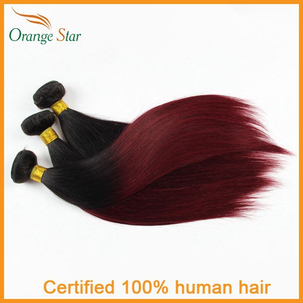 ombre hair weft 1