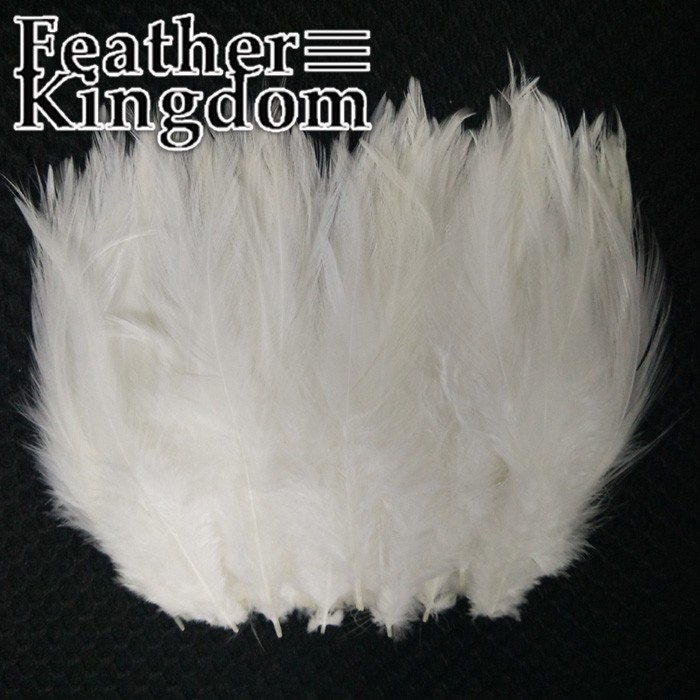 white rooster cock feather