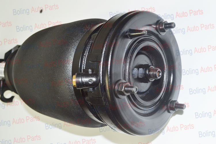 air suspenion auto shock absorber 2
