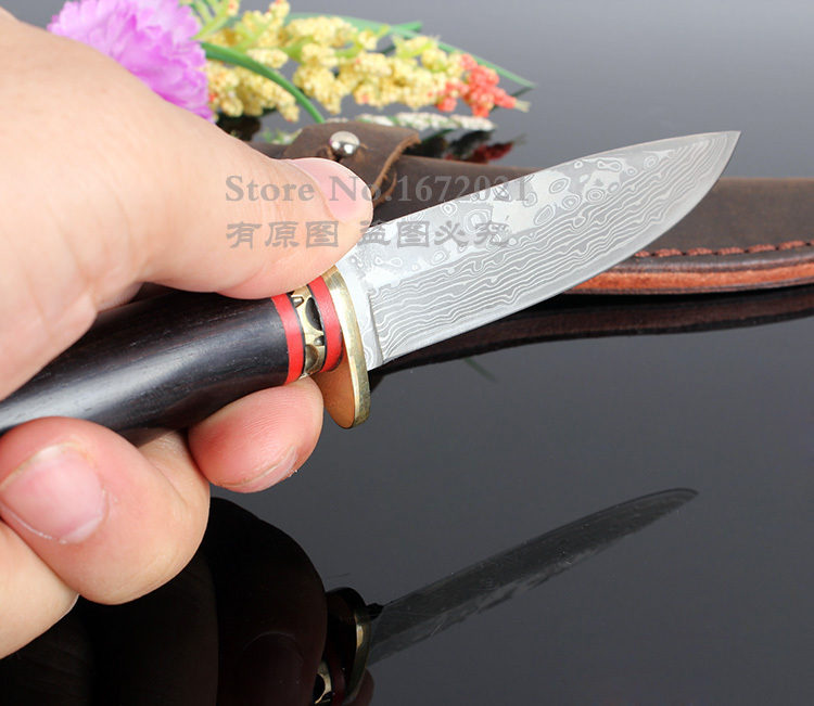 VG10 Damascus steel fixed hunting knife natural ebony handle outdoor survival knife tactical tool send leather