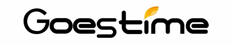 GOESTIME LOGO