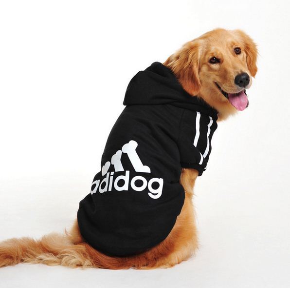 Great Glamour Perritos