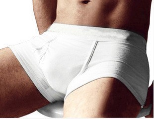 hot-Sale-Male-panties-cotton-boxers-panties-comfortable-breathable-men-s-panties-underwear-trunk-brand-shorts