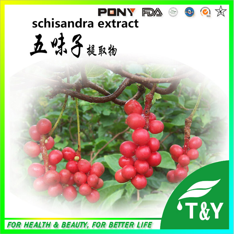 Relieve hypertension 2015 alibaba hot sale herbal extract ,Schisandra chinensis Extract ,100% Schisandra extract 600g
