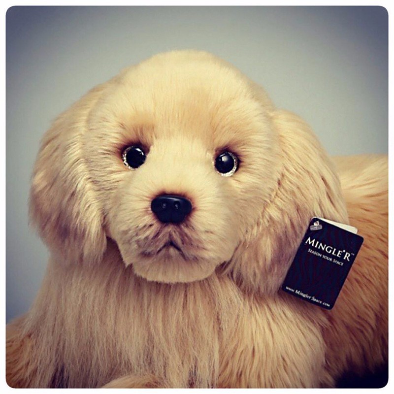 size golden retriever stuffed animal ultra realistic golden retriever stuffed animal plush size golden retriever stuffed animal ultra realistic golden retriever stuffed animal plush