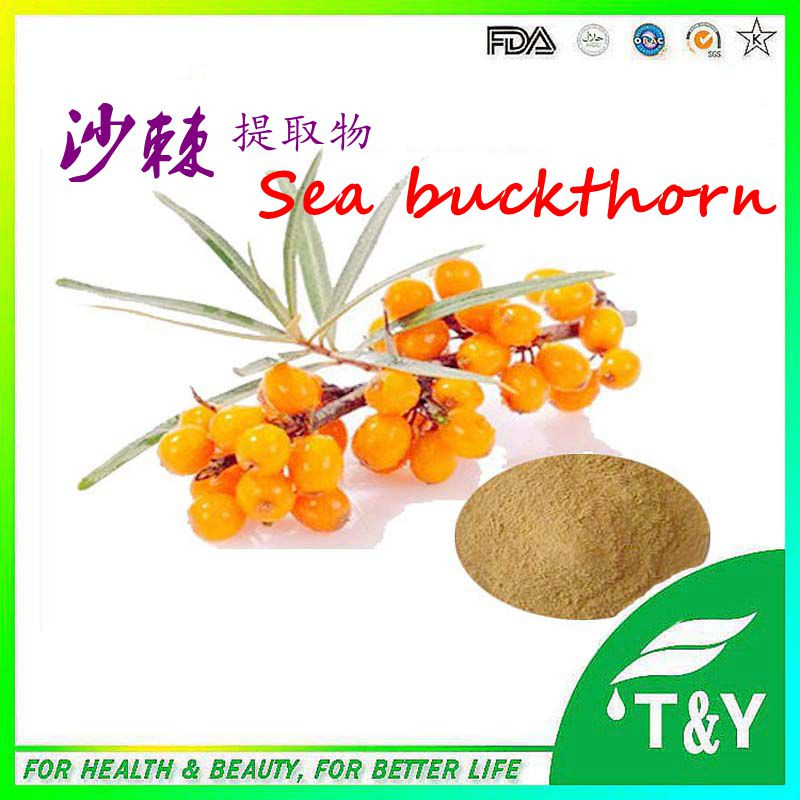 natural 5% 10% 20:1 powdered sea buckthorn extract