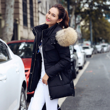 TOP Quality Large Real Fur 2015 Winter Jacket Women Raccoon Fur Collar Hooded Thick Down Coat For Women Winter Parka