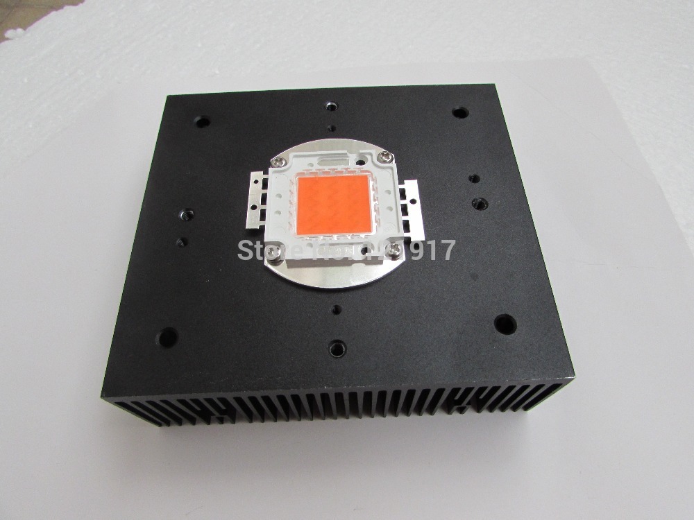 600 nm led light
