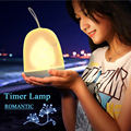 Hanging LED Timer Lamp LED Decorative Night Lights Romantic Portable USB Soft Light Atmosphere Color Changeable