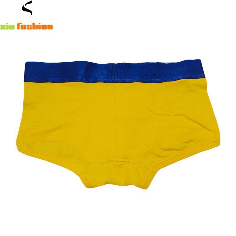 Good Quality Mens Underwear Boxers Shorts Men Cotton Cuecas Boxers 10pcs Lot Men\'s Brand Underwear 11 Flag Underwear MLXL (9)