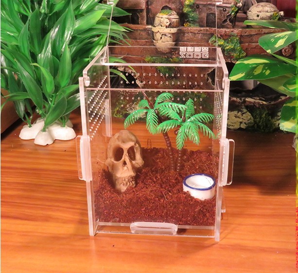 Crystal Acrylic Herp Pet Cage, Small box mosquera acrylic pet feeding box scorpion scollops pet box 10 x 7 x 85 cm001