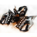 Full Fairing Kit Painted Motor ABS Bodywork Fairing For Honda CBR 600 F4i 01 03 Injection