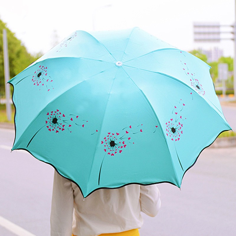 Umbrella-004-03