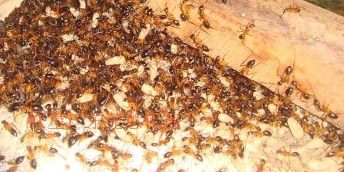 6F73A8DB4F98B53A42737792C85788CE