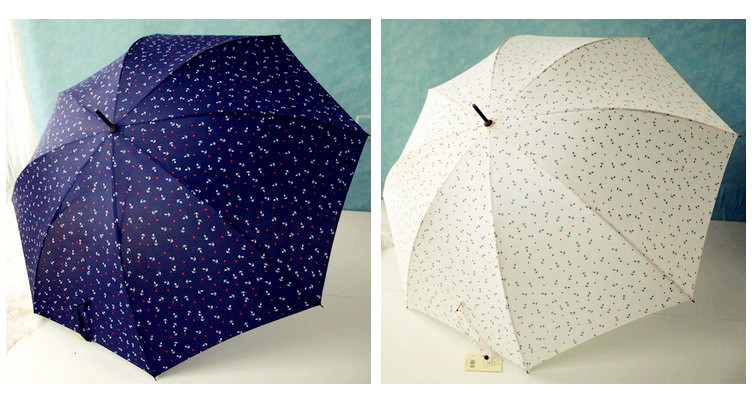  parasol umbrella women18.jpg