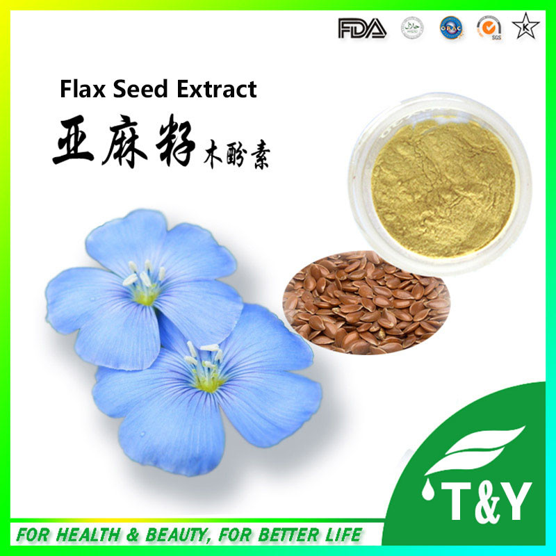 2015 HOT SALE flaxseed flax seed linum linseed extract powder 600G/LOT 20:1