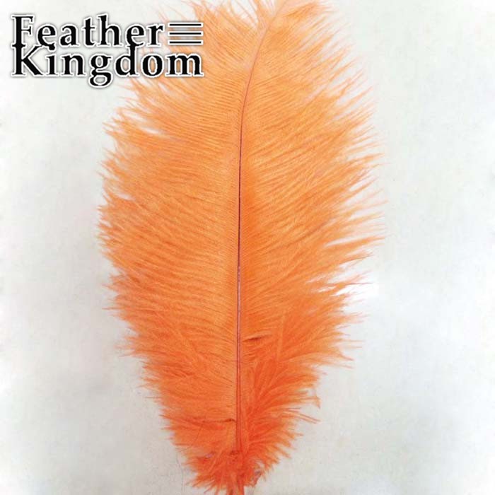 orange ostrich feather
