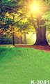 Newborn Sunshine Lighting Forest Background Photographer 5X7FT Digital Cloth Backdrops Wedding Couples estudio fotografico